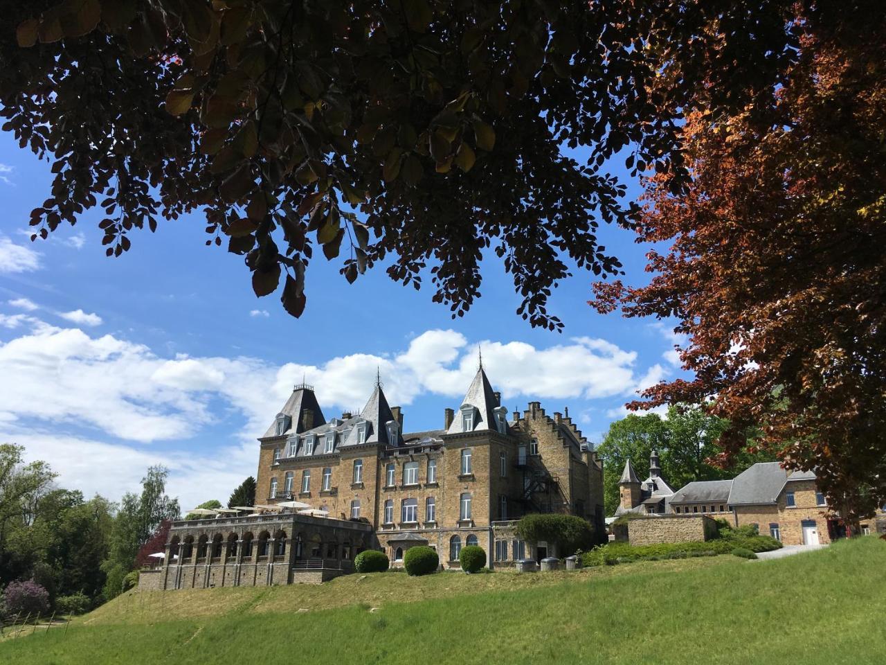 Domaine De Ronchinne - Insolites Maillen 외부 사진