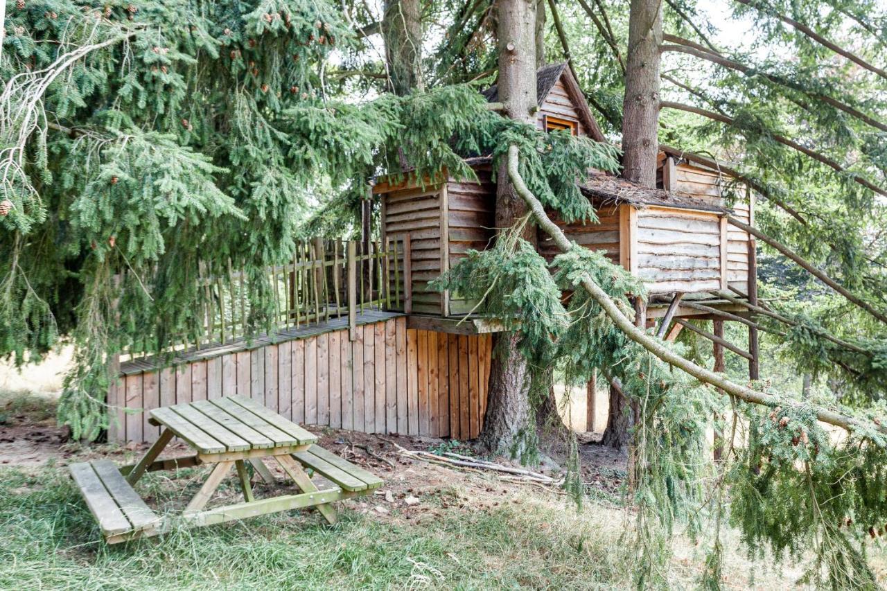 Domaine De Ronchinne - Insolites Maillen 외부 사진